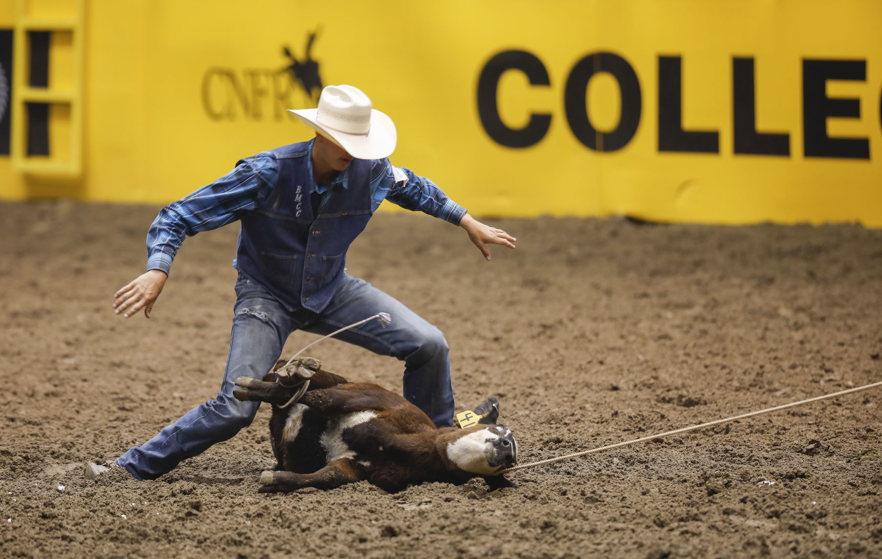 CNFR - Thursday